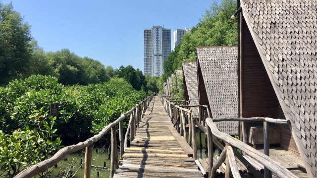 Taman Wisana, Mother Mangrove